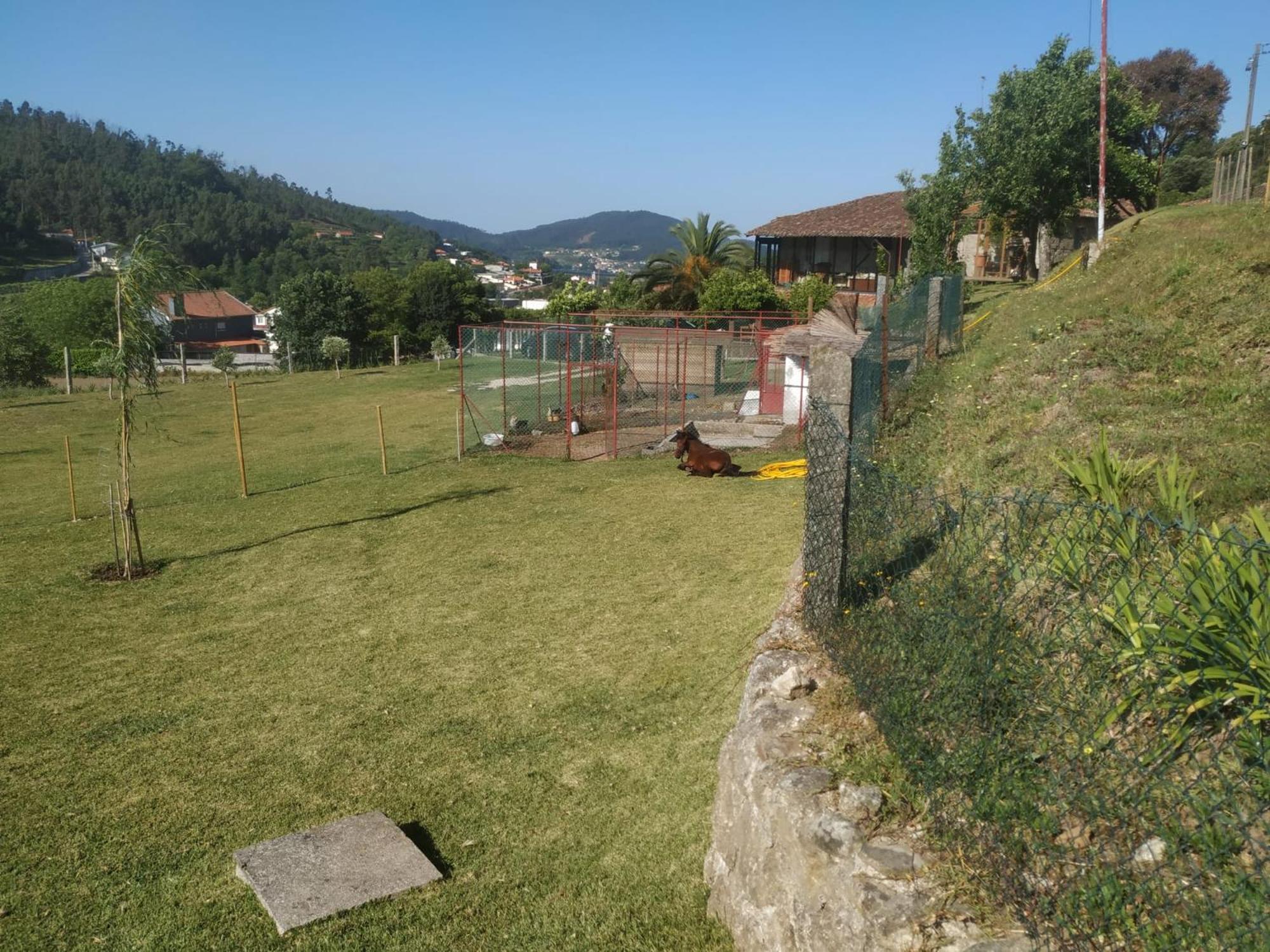 Quinta Dos Campos - Apartamento 2 Braga Exteriér fotografie